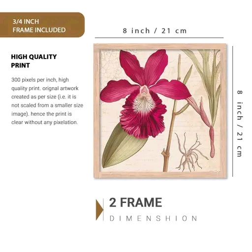 Botanical Wall Art Painting Set of 2 – Premium Framed Floral Artwork for Living Room & Office Décor (8x8 Inch)